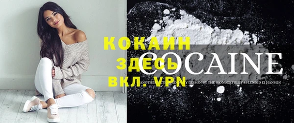 стаф Семилуки